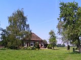 PICT6471.JPG