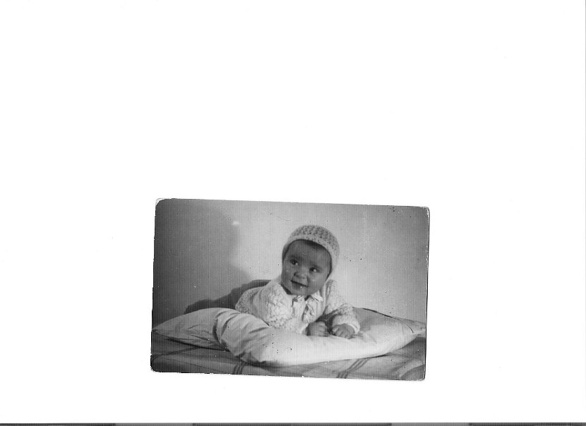 groothedde familiedag 009