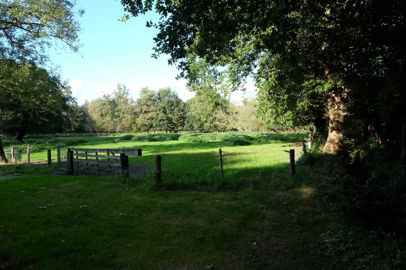 fam. reunie Orvelte 4 - 7 okt 2016 (139 van 255)