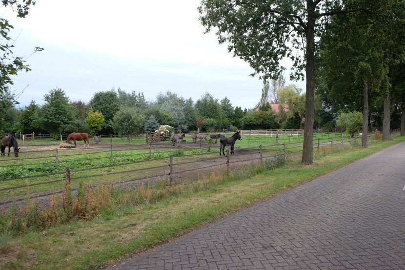 fam. reunie Orvelte 4 - 7 okt 2016 (196 van 255)
