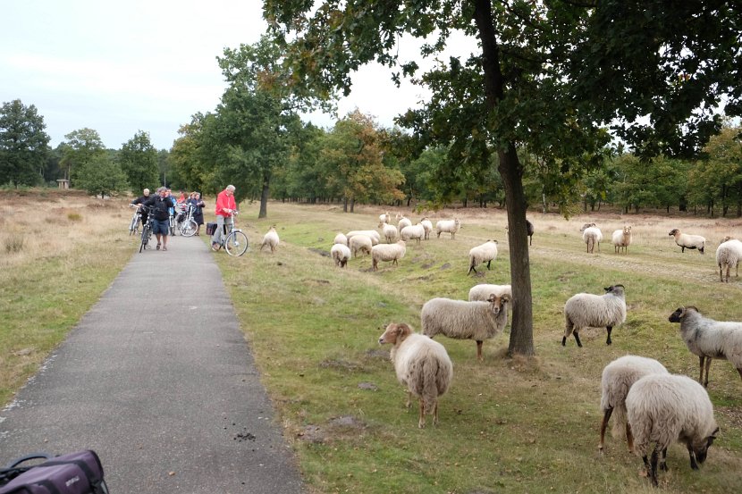 fam. reunie Orvelte 4 - 7 okt 2016 (203 van 255)