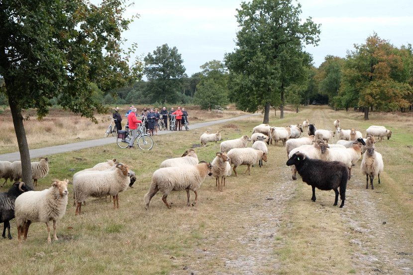 fam. reunie Orvelte 4 - 7 okt 2016 (204 van 255)
