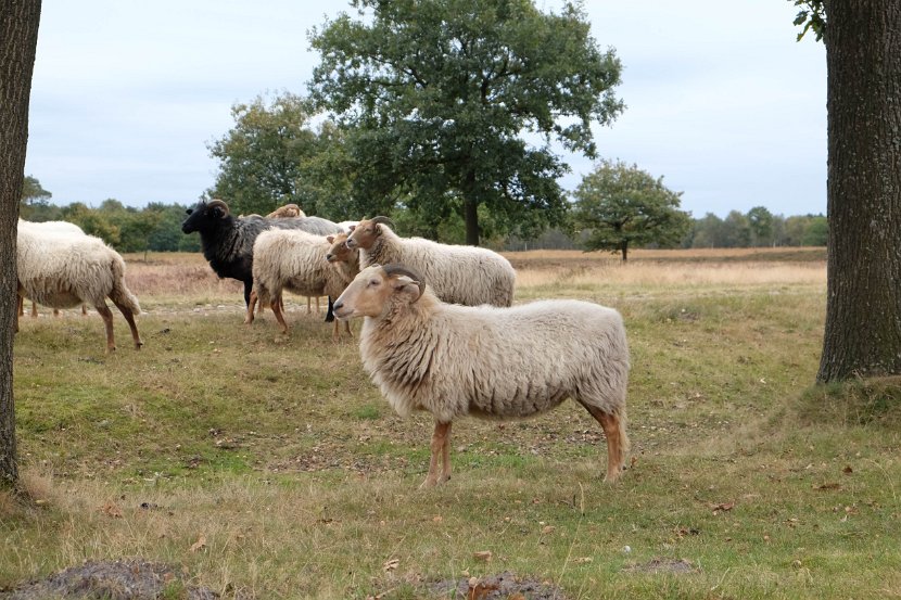 fam. reunie Orvelte 4 - 7 okt 2016 (205 van 255)