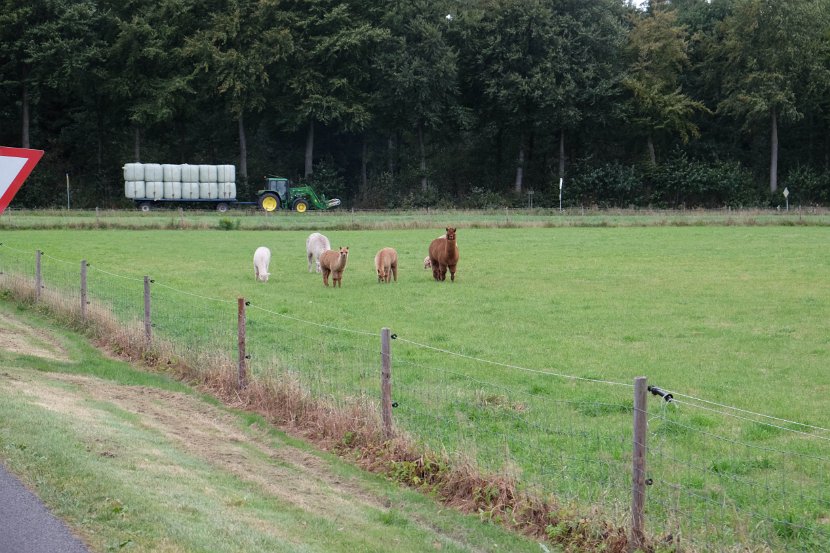 fam. reunie Orvelte 4 - 7 okt 2016 (214 van 255)