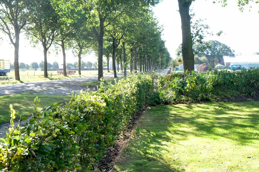 fam. reunie Orvelte 4 - 7 okt 2016 (22 van 255)