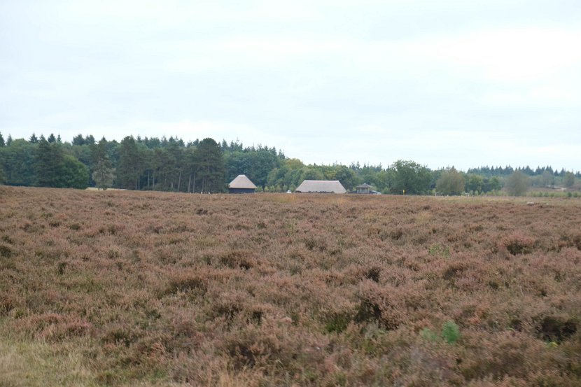fam. reunie Orvelte 4 - 7 okt 2016 (254 van 255)