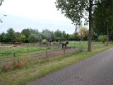 fam. reunie Orvelte 4 - 7 okt 2016 (196 van 255).jpg