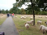 fam. reunie Orvelte 4 - 7 okt 2016 (203 van 255).jpg