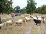 fam. reunie Orvelte 4 - 7 okt 2016 (204 van 255).jpg