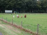 fam. reunie Orvelte 4 - 7 okt 2016 (214 van 255).jpg