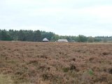 fam. reunie Orvelte 4 - 7 okt 2016 (254 van 255).jpg