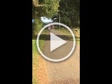fam. reunie Orvelte 4 - 7 okt 2016 (255 van 255).mp4
